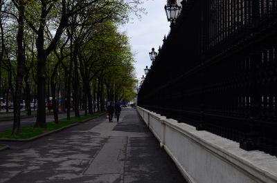 Прикрепленное изображение: DSC_0500_.jpg